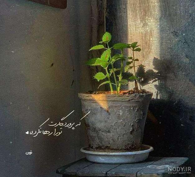 خداگرافی خداگرافی
