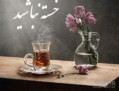 خسته نباشی عمرم