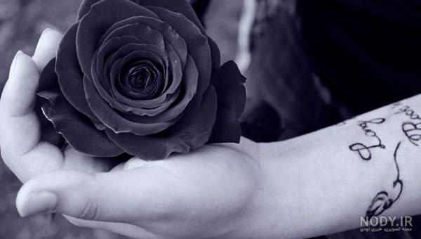 دسته گل رز سیاه دسته گل رز سیاه