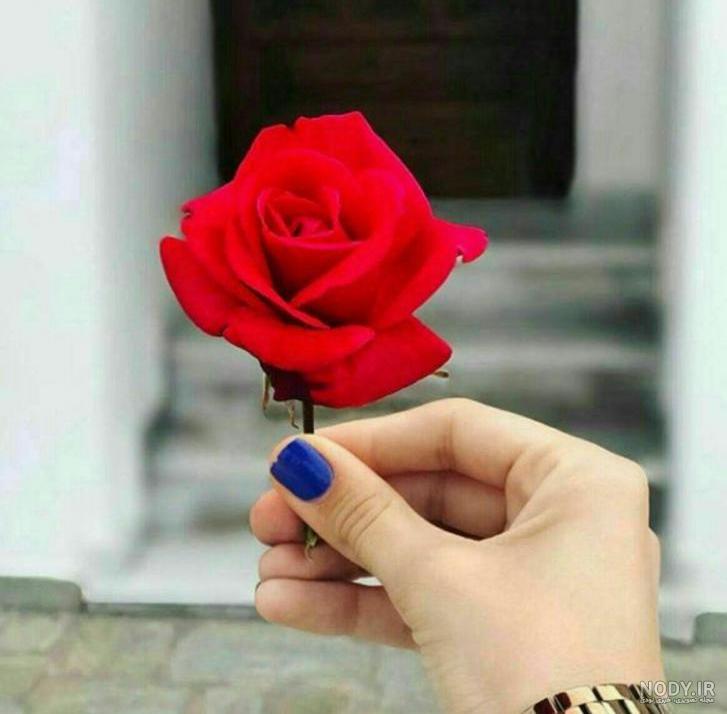 دسته گل زیبا