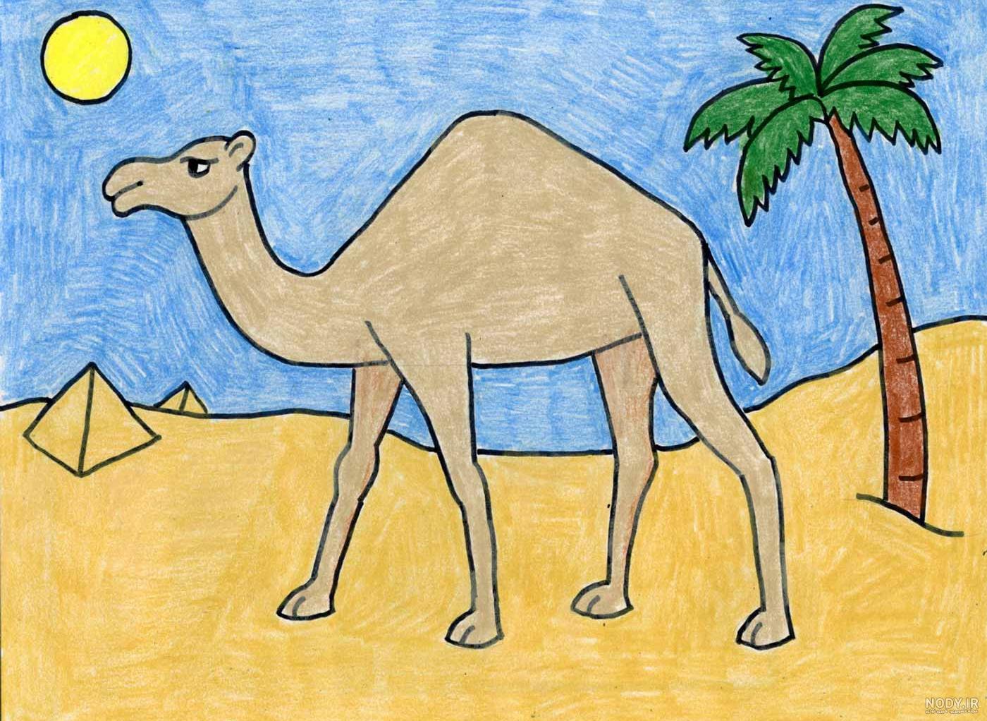 شتر نر شتر نر
