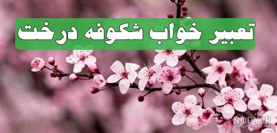 عکس طبیعت بهاری با کیفیت بالا