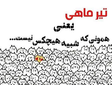 عکس ماه تیر ماهی برای پروفایل عکس ماه تیر ماهی برای پروفایل