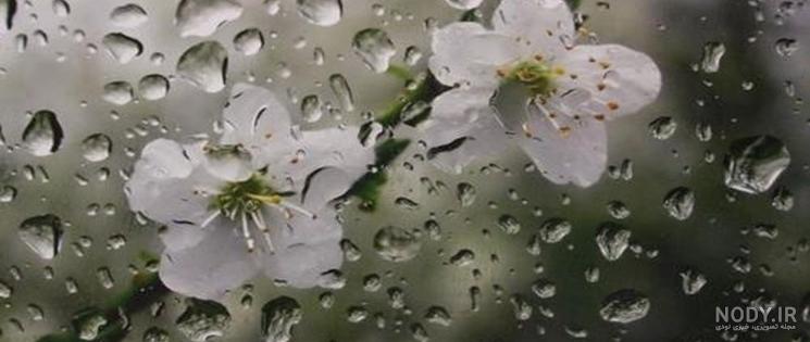 عکس نوشته باران و بهار