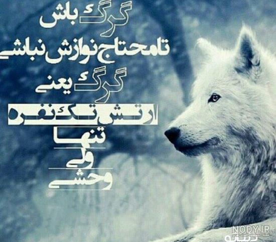 عکس نوشته گرگ