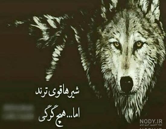 عکس نوشته گرگ عاشق