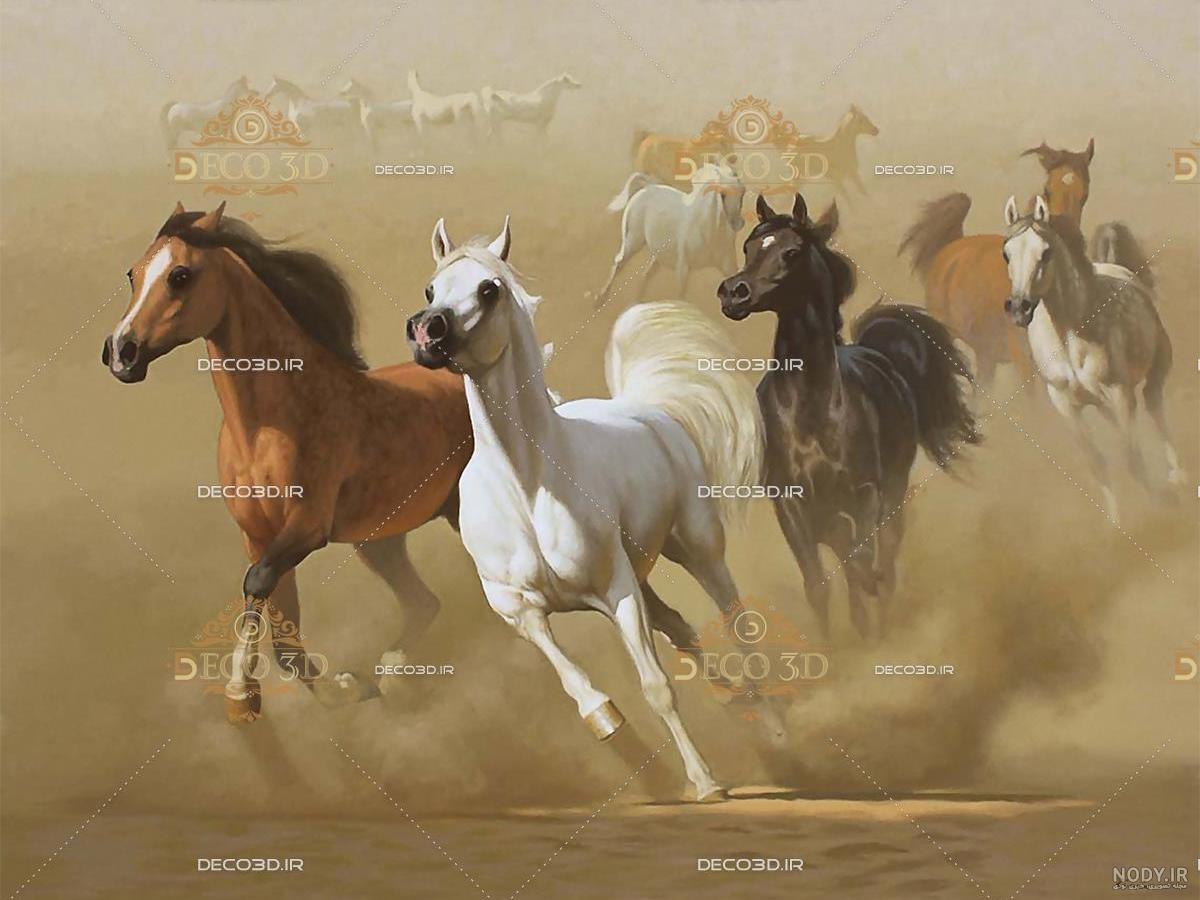 عکس وحشی ترین اسب دنیا