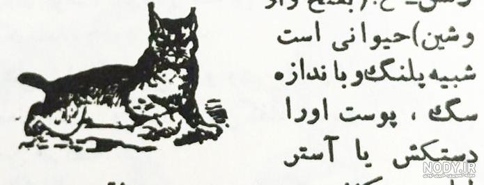 عکس گربه سیاه گوش
