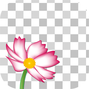 عکس گل برای پروفایل واتساپ عکس گل برای پروفایل واتساپ