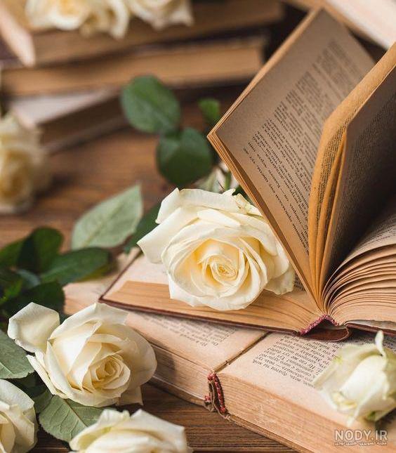 عکس گل دلتنگی عکس گل دلتنگی