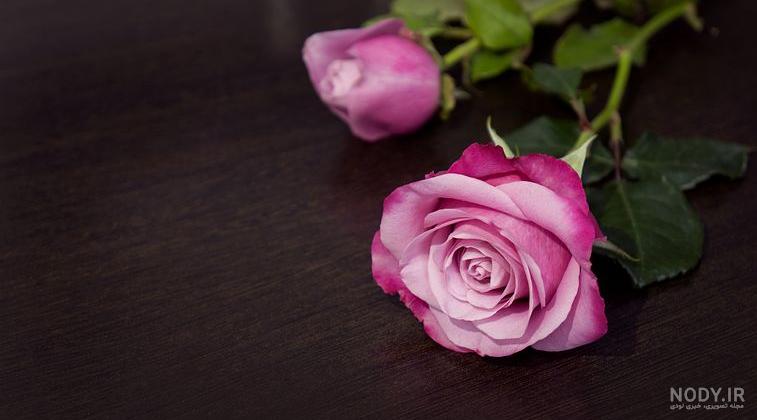 عکس گل طبیعی
