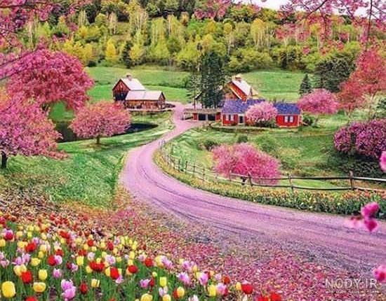 عکس گل نوشته دار عکس گل نوشته دار