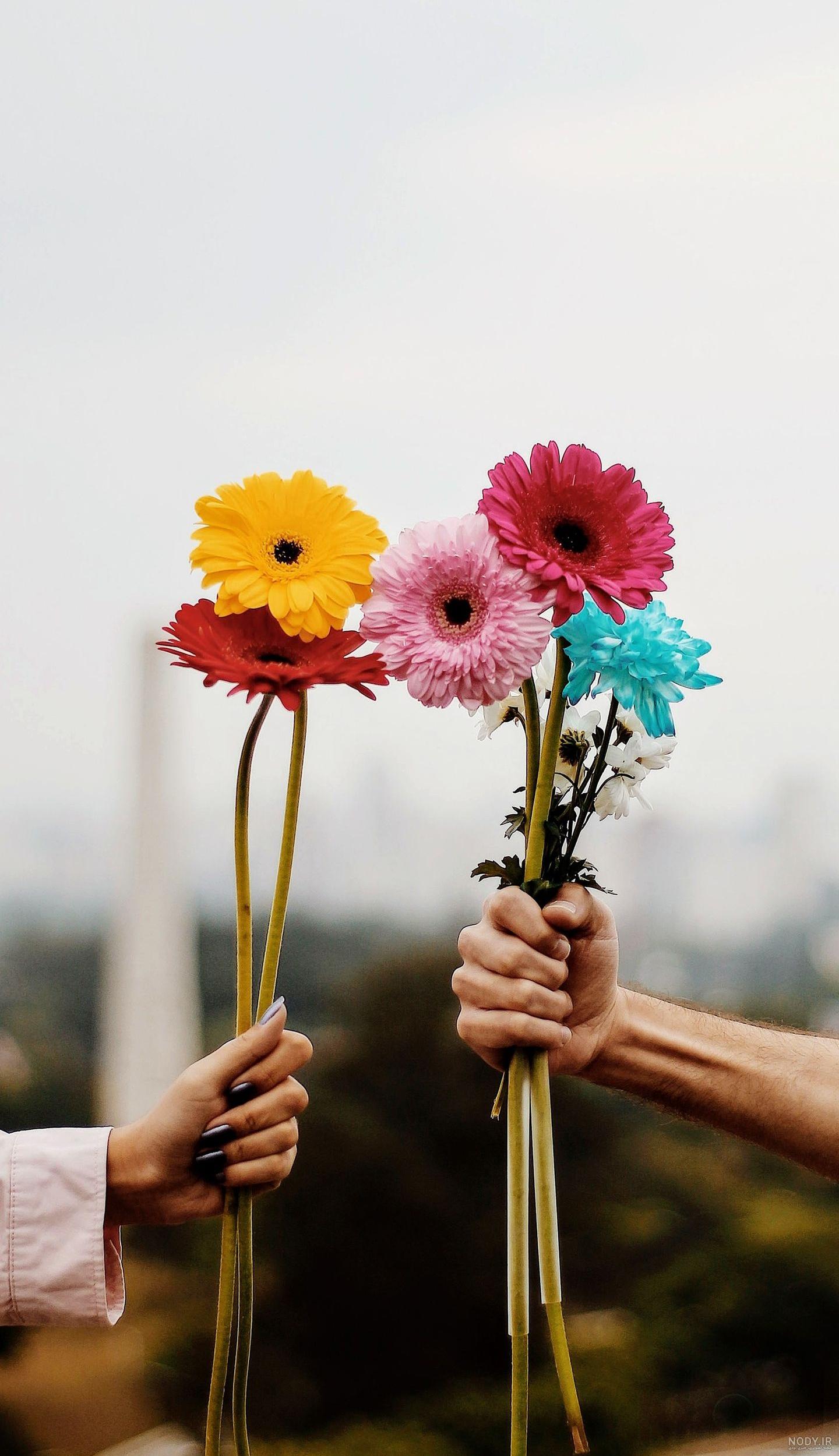 عکس گل نوشته دار غمگین عکس گل نوشته دار غمگین