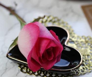عکس گلهای بسیار زیبای جهان برای پروفایل