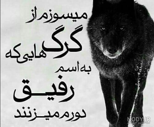 فیلم از گرگ ها