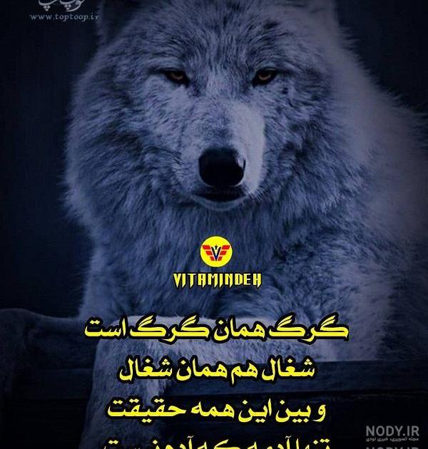 فیلم گرگ ها