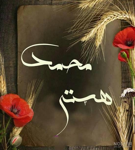 لوگو اسم هستی لوگو اسم هستی