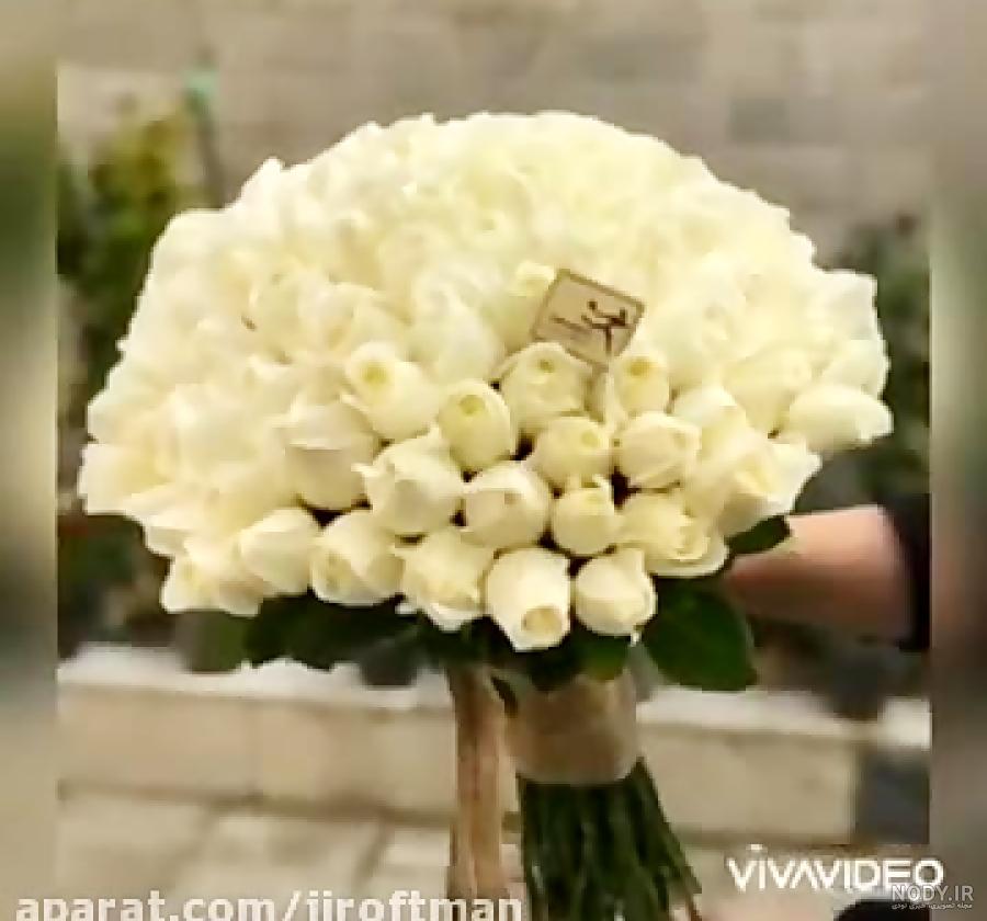 متن خدا قوت