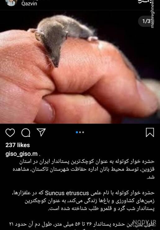 معنی الوهیت معنی الوهیت