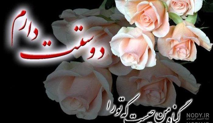 مناظر گلهای زیبا