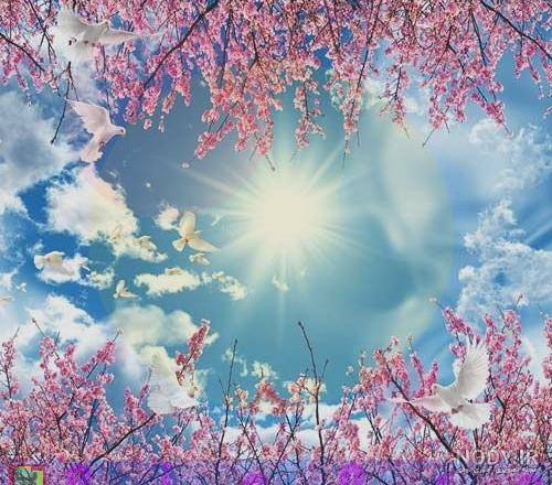 والپیپر آسمان پر ستاره