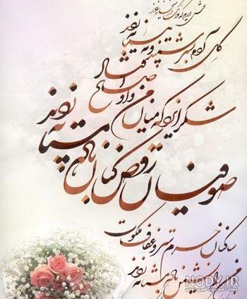 کتاب شاعران