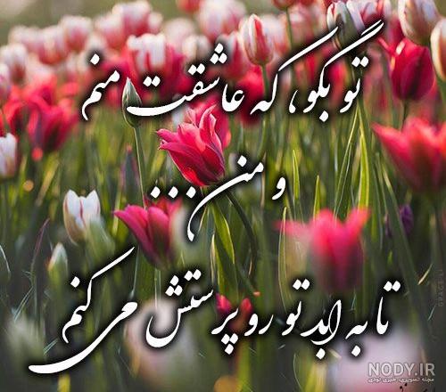 گل زیبا