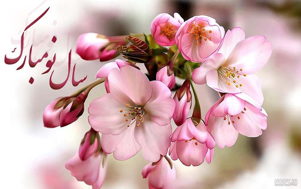 یک عکس زیبا برای تبریک سال نو یک عکس زیبا برای تبریک سال نو