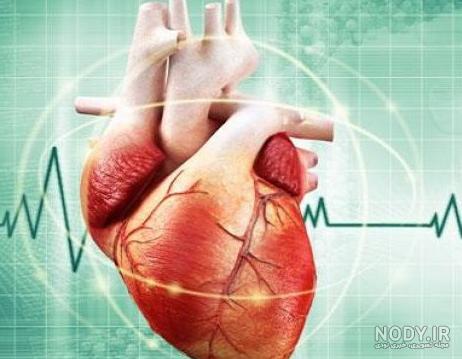 تحقیق کوتاه در مورد قلب انسان تحقیق کوتاه در مورد قلب انسان