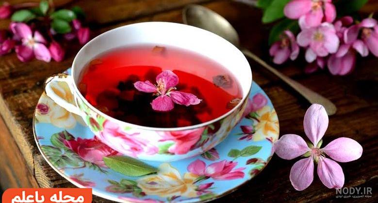 انواع دمنوش های گیاهی ترکیبی لاغری انواع دمنوش های گیاهی ترکیبی لاغری