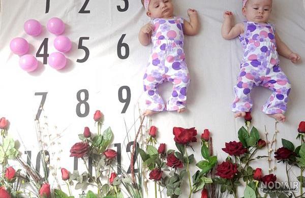 تم بهاری برای گوشی تم بهاری برای گوشی