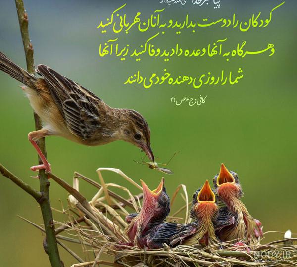 حدیث از پیامبر اکرم