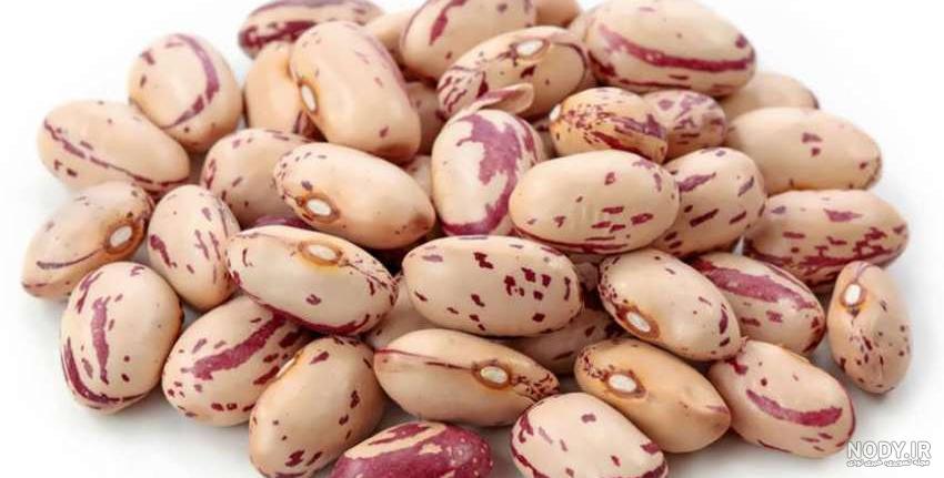 خوراک لوبیا سفید با شوید خوراک لوبیا سفید با شوید