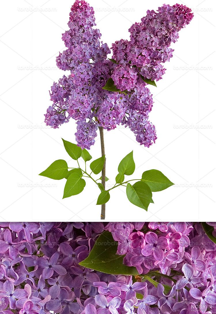 دانلود آهنگ سه بعدی ترسناک دانلود آهنگ سه بعدی ترسناک