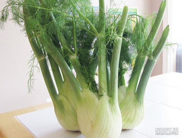 رازیانه برای چی خوبه