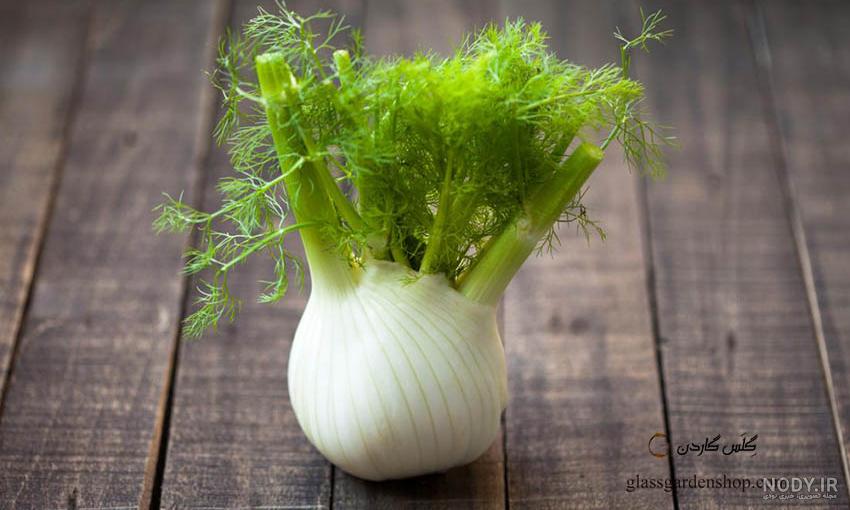 رازیانه چیست برای چی خوبه