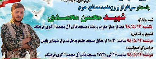شباهت لادن مستوفی و شیوا طاهری