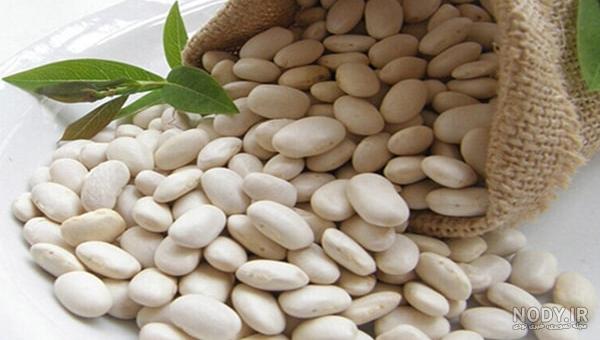 عکس از لوبیا سفید عکس از لوبیا سفید