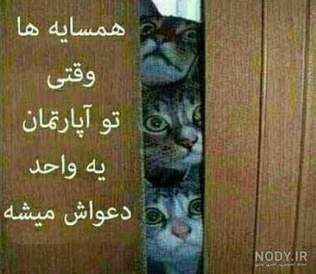 عکس خنده دار با متن