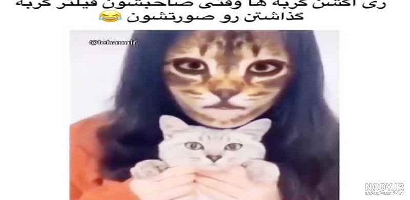 عکس خنده دار برای پروفایل بدون متن