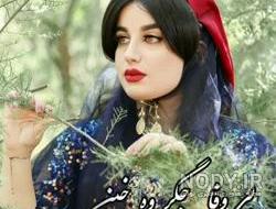 عکس سجاد رزمجو
