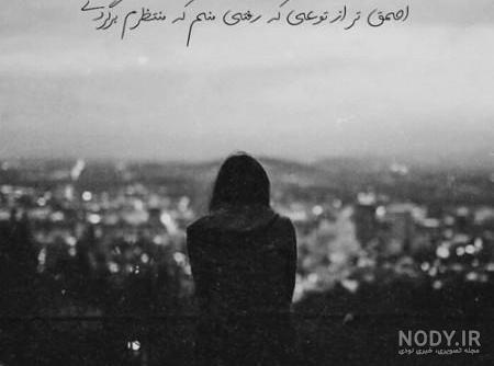 عکس سیاه سفید شاخ عکس سیاه سفید شاخ