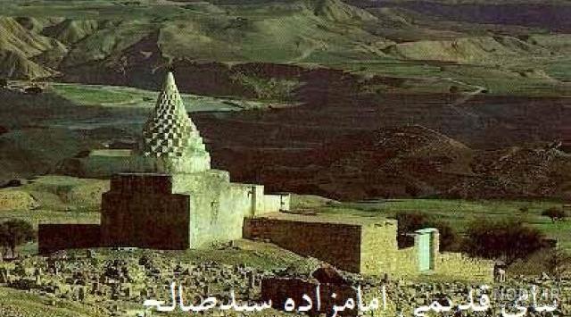 عکس سید صالحی و همسرش عکس سید صالحی و همسرش