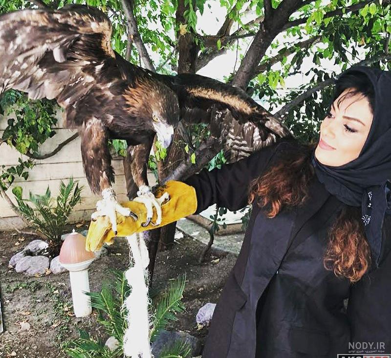 عکس عقاب برای تصویر زمینه