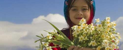 عکس نوشته سلام بر گل نرگس عکس نوشته سلام بر گل نرگس