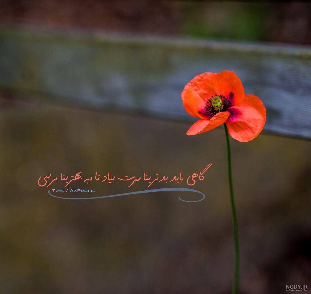 عکس نوشته شاد انرژی مثبت عکس نوشته شاد انرژی مثبت