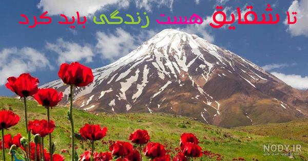 عکس نوشته گل شقایق عکس نوشته گل شقایق