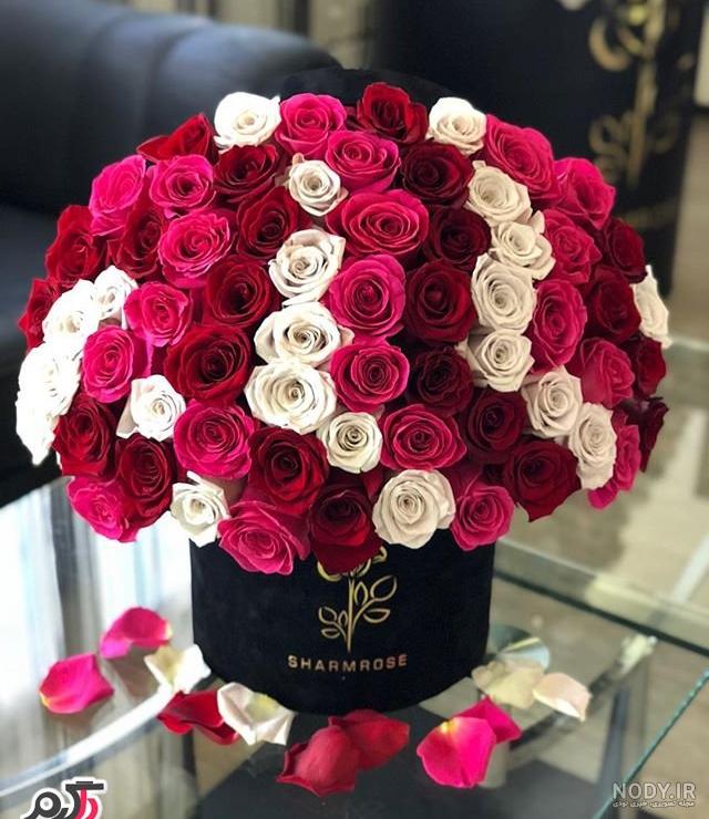 عکس پروفایل گل عاشقانه عکس پروفایل گل عاشقانه