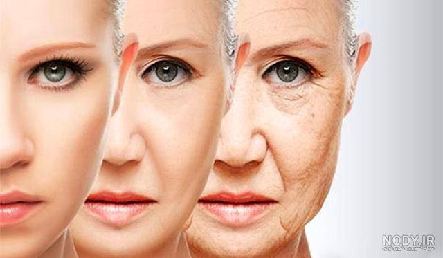 عکس چهره پیرمرد عکس چهره پیرمرد