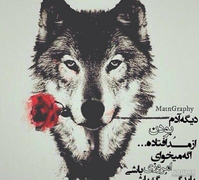 عکس گرگ فانتزی عکس گرگ فانتزی